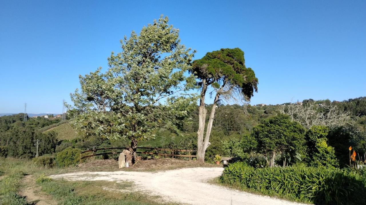 Quinta Do Oratorio Agroturismo Óbidos Екстериор снимка